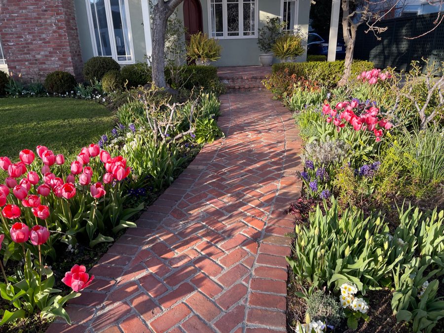 A brick path lined with red tulips, leading up to a front door.